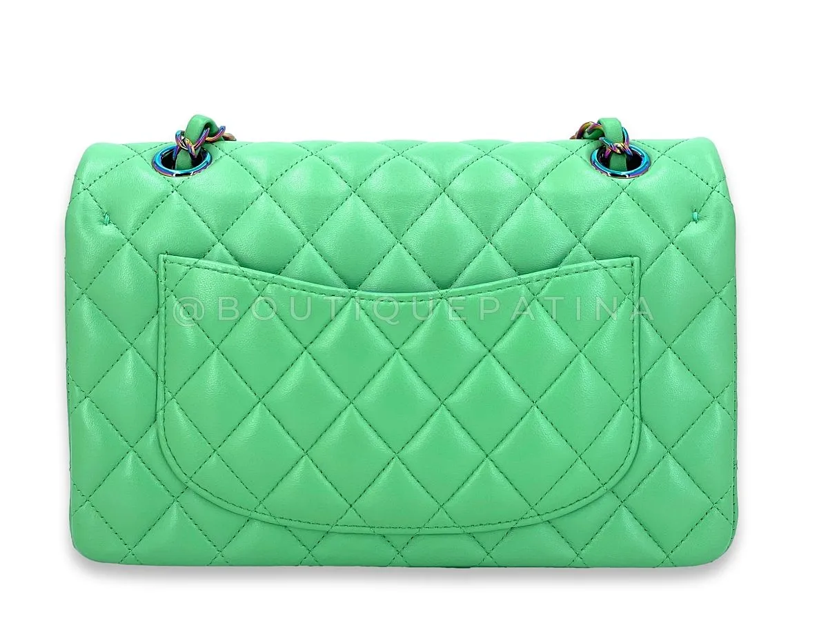Chanel 2021 Green Small Classic Double Flap Bag Rainbow HW
