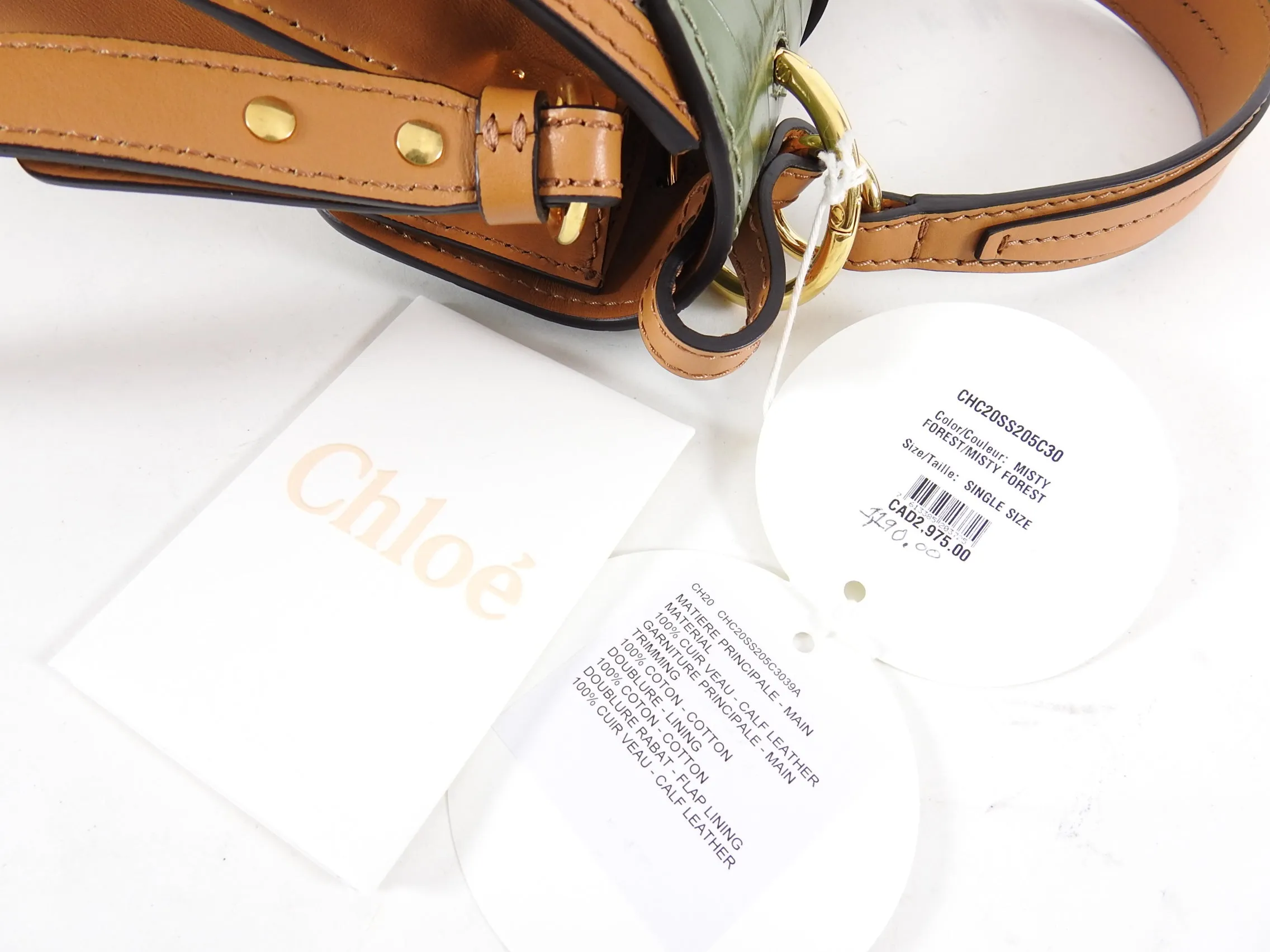 Chloe Aby Small Canvas and Misty Green Day Bag