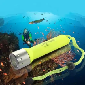 Diving torch 😍