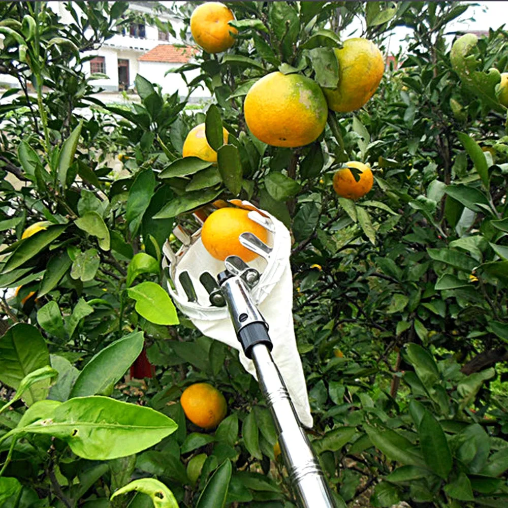 Metal Fruit Picker Orchard Gardening Apple Peach High Tree Picking Tools